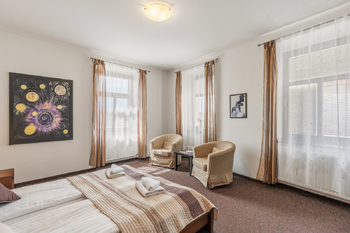 Prodej ubytovacího zařízení 400 m², Písek