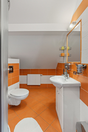 Prodej ubytovacího zařízení 400 m², Písek