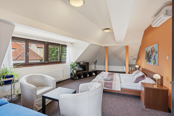 Prodej ubytovacího zařízení 400 m², Písek