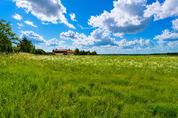 Prodej pozemku 4580 m², Nový Bydžov