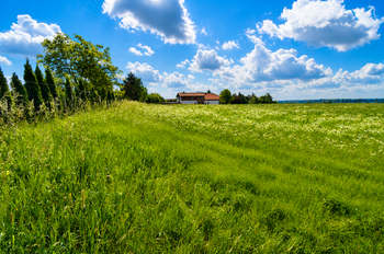 Prodej pozemku 4580 m², Nový Bydžov