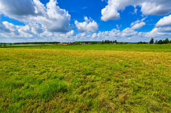 Prodej pozemku 4580 m², Nový Bydžov