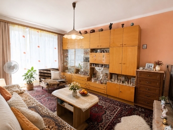 Prodej bytu 2+1 v družstevním vlastnictví 52 m², Karviná