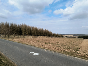 Prodej pozemku 65556 m², Václavy