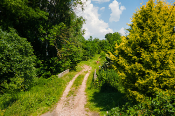 obecní cesta k oozemku - Prodej pozemku 600 m², Jičín