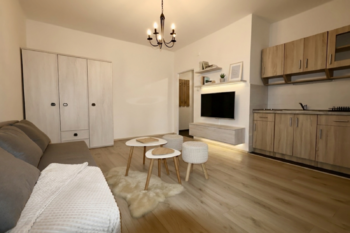 Prodej bytu 1+kk v osobním vlastnictví 27 m², Ostrava