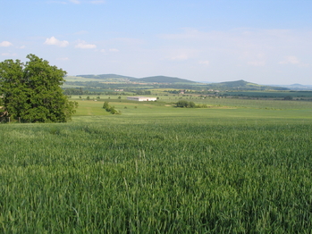 Prodej pozemku 24357 m², Ploskovice