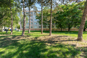 Prodej bytu 2+1 v družstevním vlastnictví 54 m², Most