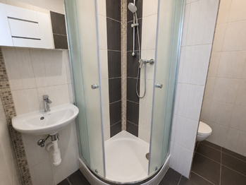 Prodej bytu 1+1 v osobním vlastnictví 33 m², Brno