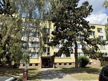 Pronájem bytu 2+kk v družstevním vlastnictví 44 m², Mladá Boleslav