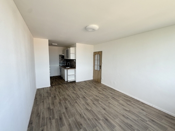 Pronájem bytu 2+kk v družstevním vlastnictví 44 m², Mladá Boleslav