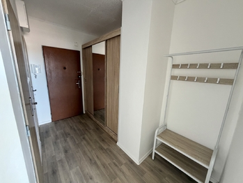 Pronájem bytu 2+kk v družstevním vlastnictví 44 m², Mladá Boleslav