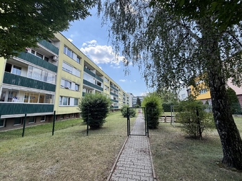 Pronájem bytu 2+kk v družstevním vlastnictví 44 m², Mladá Boleslav