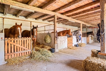 Prodej pozemku 21306 m², Velký Šenov