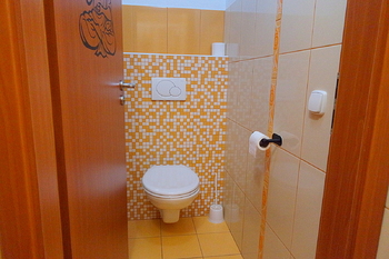 Prodej obchodních prostor, Třebechovice pod Orebem