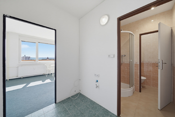 Prodej bytu 1+kk v osobním vlastnictví 29 m², Praha 4 - Kamýk