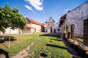 Prodej domu 160 m², Vršovice