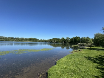 Prodej pozemku 853 m², Mšecké Žehrovice