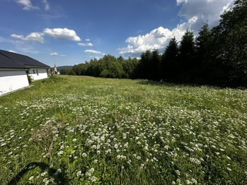 Prodej pozemku 1161 m², Přední Výtoň