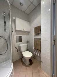 Koupelna - Pronájem bytu 1+1 v osobním vlastnictví 62 m², Praha 2 - Vinohrady