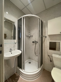 Koupelna - Pronájem bytu 1+1 v osobním vlastnictví 62 m², Praha 2 - Vinohrady