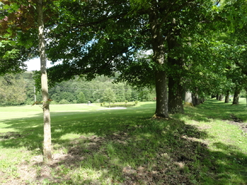 Prodej domu 250 m², Luby