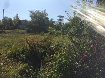 Stavební pozemek, Svinošice - Prodej pozemku 310 m², Svinošice