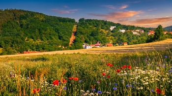 Prodej pozemku 1006 m², Oslavany