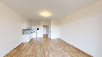 Pronájem bytu 1+kk v osobním vlastnictví 39 m², Holubice