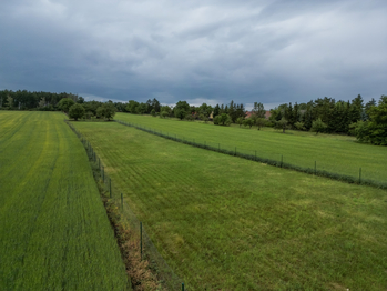 Prodej pozemku 3211 m², Peruc