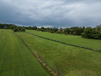 Prodej pozemku 3211 m², Peruc