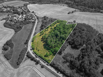 Prodej pozemku 16882 m², Zvíkovec