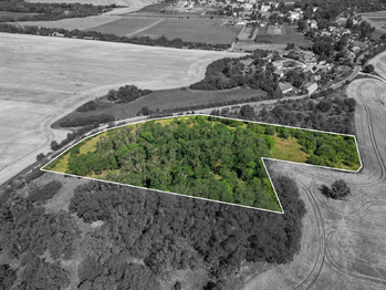Prodej pozemku 16882 m², Zvíkovec