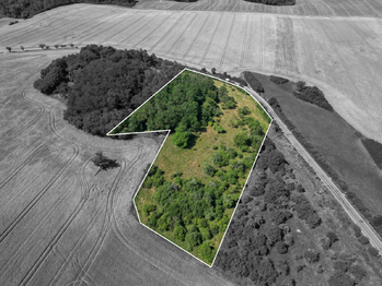 Prodej pozemku 16882 m², Zvíkovec