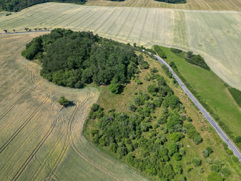 Prodej pozemku 16882 m², Zvíkovec