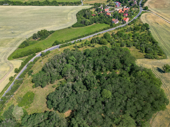 Prodej pozemku 16882 m², Zvíkovec