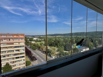Pronájem bytu 1+1 v osobním vlastnictví 35 m², Mladá Boleslav