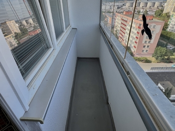 Pronájem bytu 1+1 v osobním vlastnictví 35 m², Mladá Boleslav