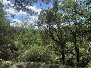 Prodej chaty / chalupy 67 m², Zadní Třebaň