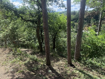 Prodej chaty / chalupy 67 m², Zadní Třebaň