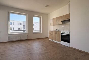 Pronájem bytu 1+kk v osobním vlastnictví 38 m², Velký Osek