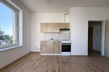 Pronájem bytu 1+kk v osobním vlastnictví 38 m², Velký Osek