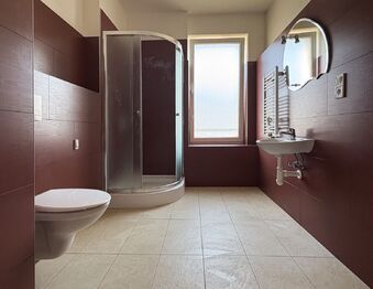 Pronájem bytu 1+kk v osobním vlastnictví 38 m², Velký Osek