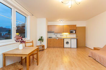 Pronájem bytu 1+kk v osobním vlastnictví 30 m², Praha 8 - Libeň