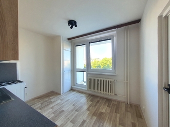 Pronájem bytu 1+1 v osobním vlastnictví 44 m², Brno