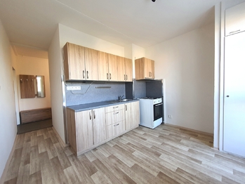 Pronájem bytu 1+1 v osobním vlastnictví 44 m², Brno