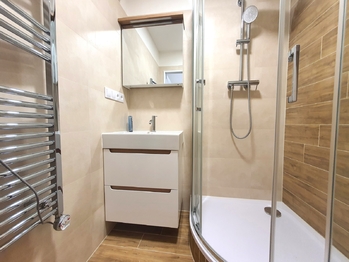 Pronájem bytu 1+1 v osobním vlastnictví 44 m², Brno