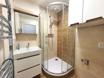Pronájem bytu 1+1 v osobním vlastnictví 44 m², Brno