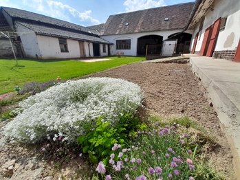 Prodej domu 165 m², Třebelovice