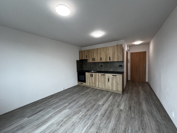 Pronájem bytu 1+kk v osobním vlastnictví 24 m², Plzeň